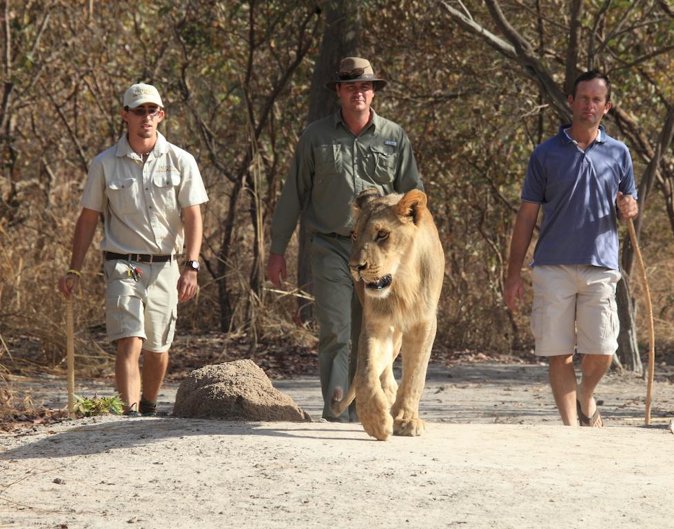 Fathala Wildlife Reserve Toubakouta Exterior photo